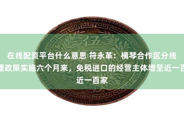 在线配资平台什么意思 符永革：横琴合作区分线管理政策实施六个月来，免税进口的经营