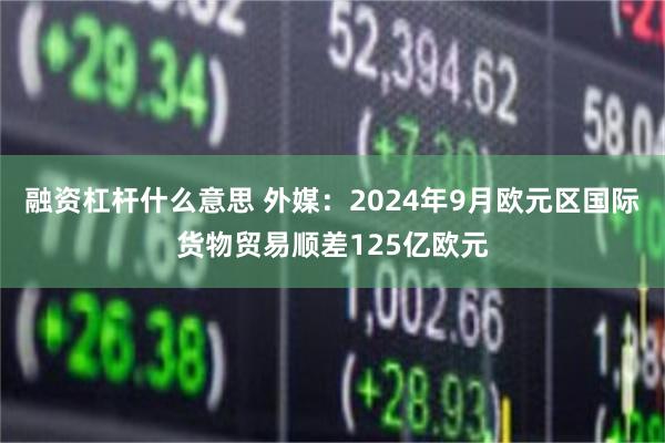 融资杠杆什么意思 外媒：2024年9月欧元区国际货物贸易顺差125亿欧元