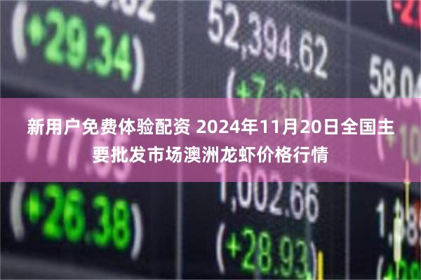 新用户免费体验配资 2024年11月20日全国主要批发市场澳洲龙虾价格行情