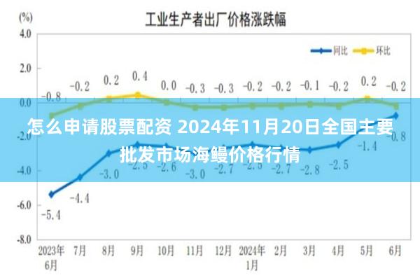 怎么申请股票配资 2024年11月20日全国主要批发市场海鳗价格行情