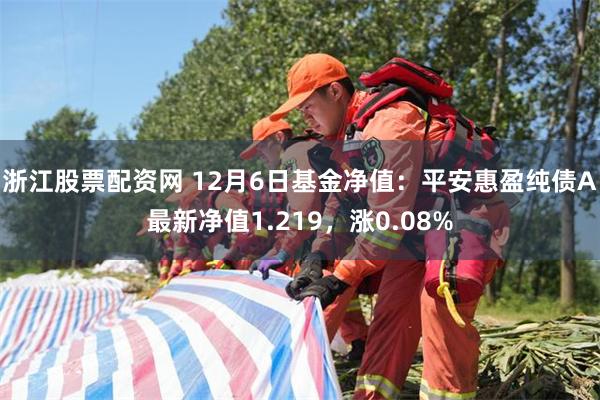 浙江股票配资网 12月6日基金净值：平安惠盈纯债A最新净值1.219，涨0.08