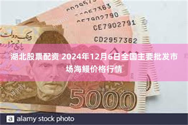 湖北股票配资 2024年12月6日全国主要批发市场海鳗价格行情