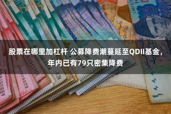 股票在哪里加杠杆 公募降费潮蔓延至QDII基金，年内已有79只密集降费