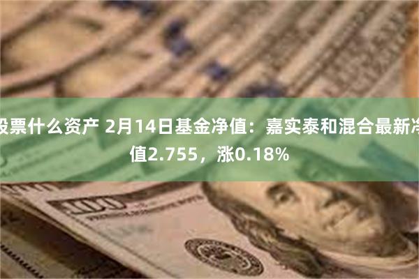 股票什么资产 2月14日基金净值：嘉实泰和混合最新净值2.755，涨0.18%