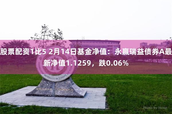 股票配资1比5 2月14日基金净值：永赢瑞益债券A最新净值1.1259，跌0.0